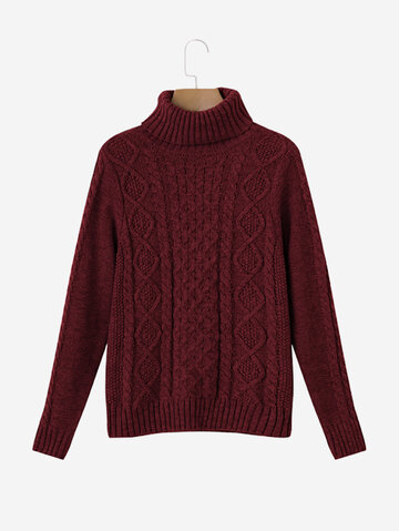 Casual Turtleneck Women Sweaters-Newchic-